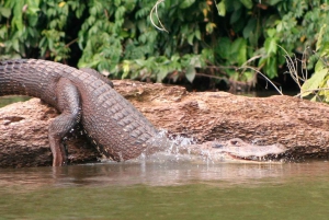 Puerto Maldonado: Tambopata River Sunset Boat Tour