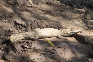 Puerto Maldonado: Tambopata River Sunset Boat Tour