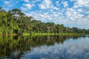Puerto Maldonado: Tambopata River Sunset Boat Tour