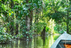 Puerto Maldonado: Tambopata River Sunset Boat Tour