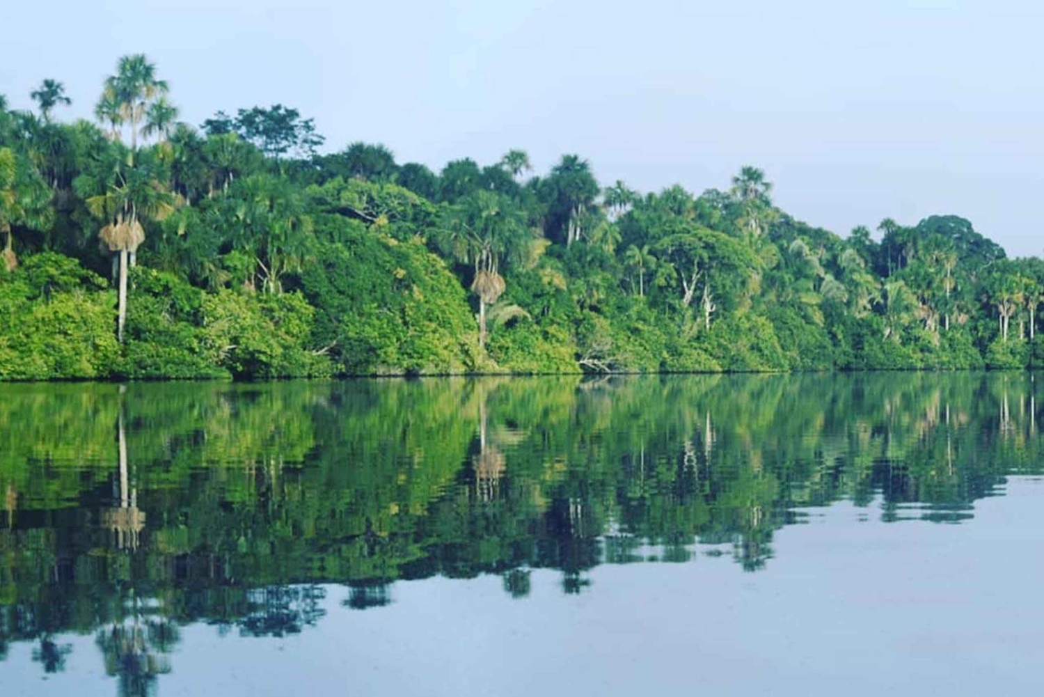 Puerto Maldonado: Tambopata Trek 3 Tage 2 Nächte