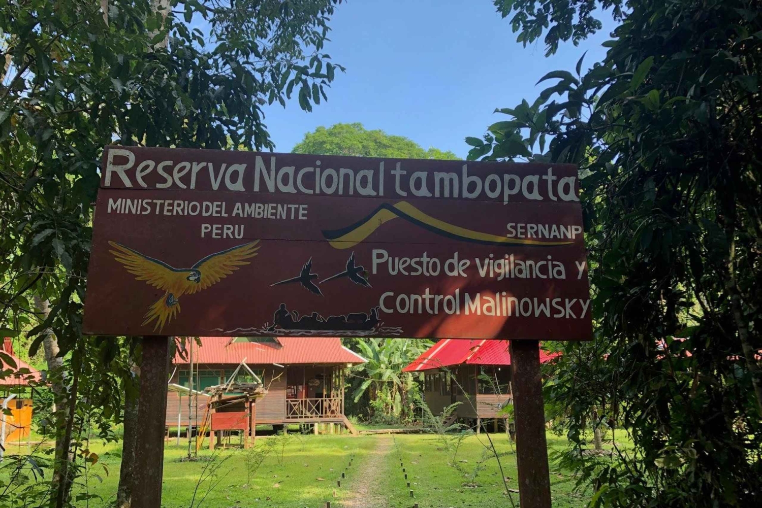 Puerto Maldonado: Tambopata Trek 3 Tage 2 Nächte