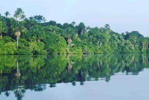 Puerto Maldonado: Tambopata Trek 3 Tage 2 Nächte