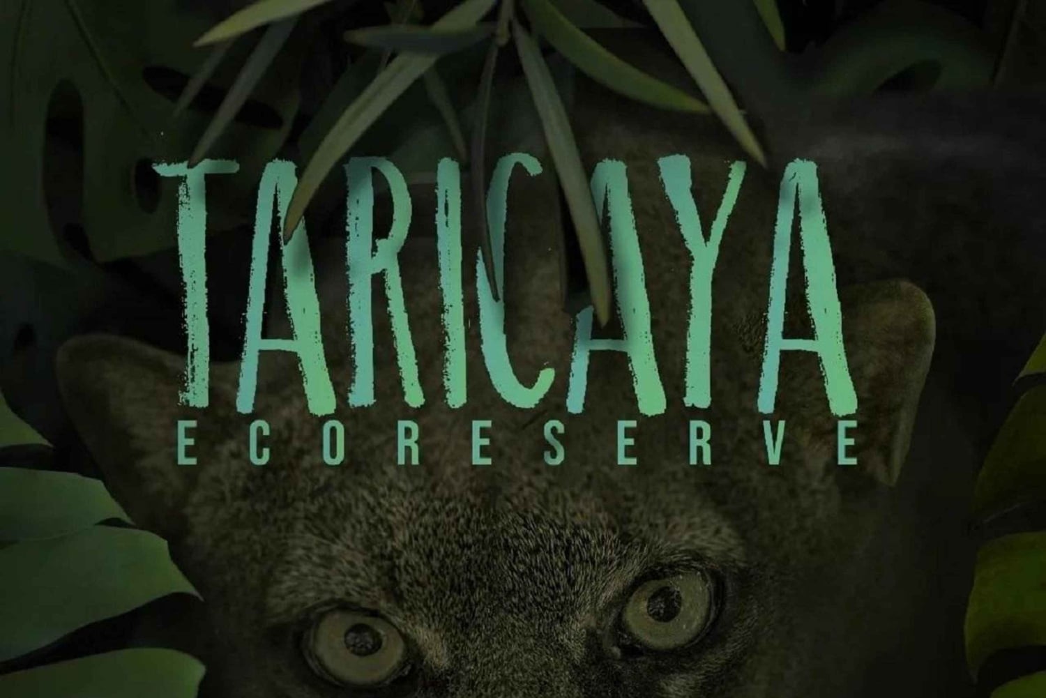 Puerto Maldonado: tour del centro di recupero della fauna selvatica Taricaya