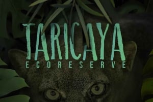 Puerto Maldonado: Tur til Taricaya Wildlife Rescue Center