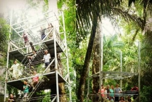 Puerto Maldonado: Tur til Taricaya Wildlife Rescue Center