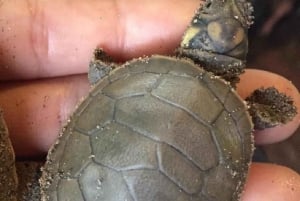 Puerto Maldonado: Tur til Taricaya Wildlife Rescue Center