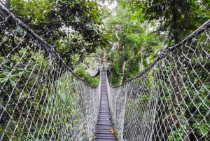 Puerto Maldonado: Zipline Adventure & Kayak to Monkey Island