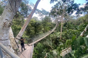 Tambopata: Zipline Adventure & Kayak to Monkey Island