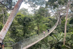 Puerto Maldonado: Zipline Adventure & Kayak to Monkey Island