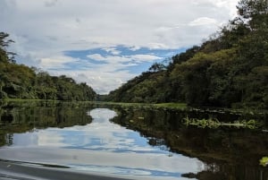 プエルト・ナリニョ：アマゾンジャングルと湖の3日間ツアー