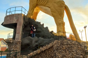 Puno: Airport transfer to Puno with a tour of the Sillustani Chullpas