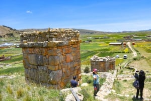 Puno: Dagstur til Aramu Muro og Molloco-gravlunden