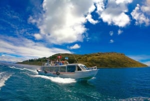 Puno: Uros Taquile Full day tour + folklorische dansen op een speedboot