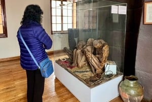 Puno: tour guidato della città in bicicletta con visita alla nave Yavarí, Museo Dreyer