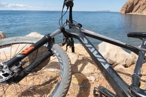 プーノ：ティティカカ湖自転車ツアー（ケチュアコミュニティとの交流付き）