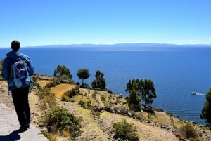 Puno: Lake Titicaca Day Tour