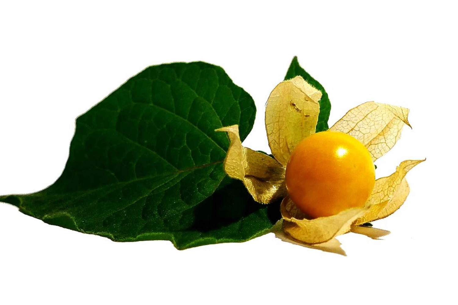 Puno : visite culinaire locale à midi