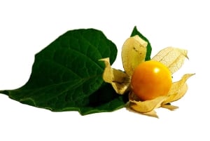 Puno : visite culinaire locale à midi