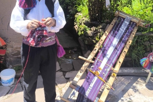 Puno: TOUR UROS - TAQUILE LANCHA VELOZ (FULL DAY)