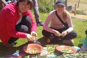 Puno: Tour Uros Taquile + Overnachting in de gemeenschap Luquina (VIP-speedboot)
