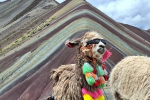 Da Cusco: Tour in ATV della Montagna Arcobaleno con pasti