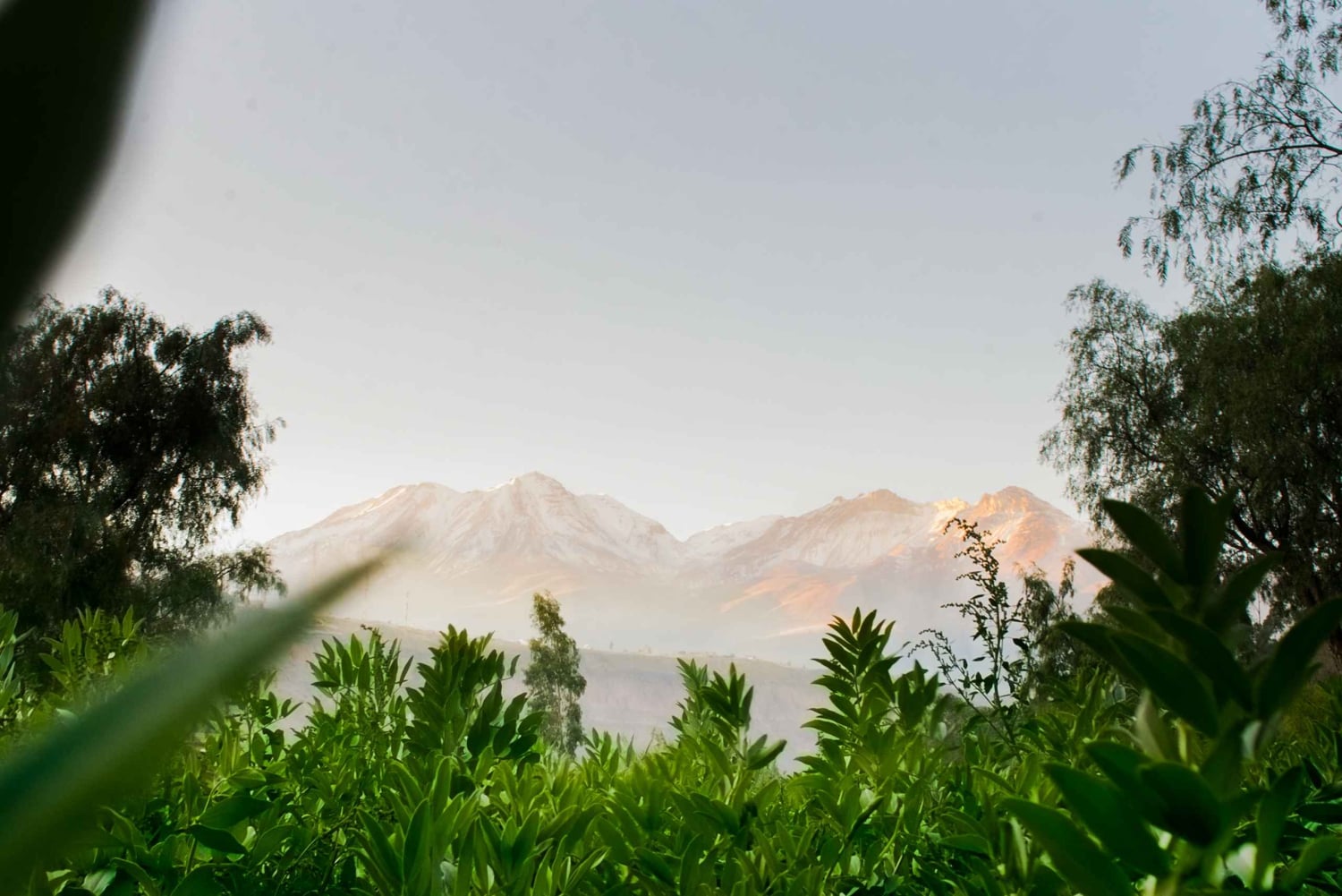 Fjellklatring i Arequipa, Perú