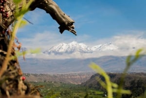 Fjellklatring i Arequipa, Perú