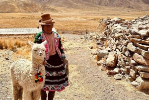 Route of the sun: Bus trip from Cusco to Puno with stops