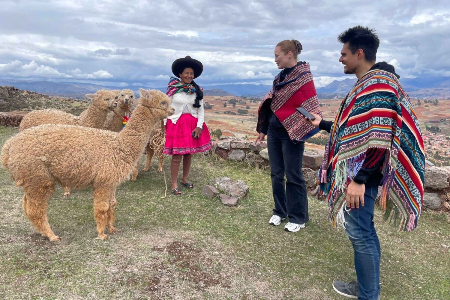 Den hellige dalen: Alpaca-tur til Machuqolqa Inka-stedet