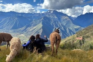 Sacred Valley: Alpaca Walk to Machuqolqa Inca Site
