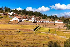 Sacred Valley: Alpaca Walk to Machuqolqa Inca Site