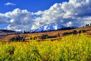 Sacred Valley and Machu Picchu: 2-Day Private Tour