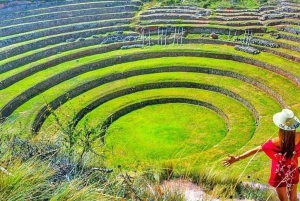 Valle Sagrado: Chinchero, Moray, Ollantaytambo y Pisac + almuerzo.