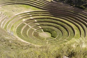 Valle Sagrado: Chinchero, Moray, Ollantaytambo y Pisac + almuerzo.