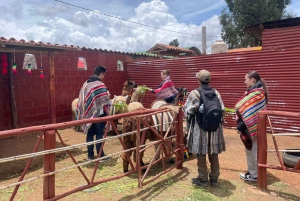 Sacred Valley: Chinchero Weaving & Potato Experience