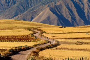 Sacred Valley: Maras & Moray by Quad Bike from Cusco