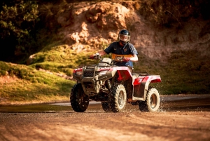 exotic car buggy quad rentals