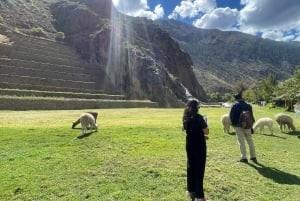 インカの聖なる谷へのプライベート日帰りツアーをご案内します