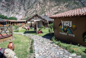 Valle Sagrado: Privado Ollantaytambo, Chinchero y Yucay