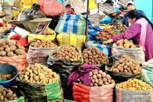 Privat tur i Sacred Valley: smaker, historia och traditioner.