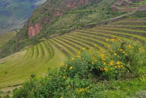 Sacred Valley Private Tour Full Day - Pisac + Ollantaytambo