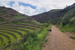 Sacred Valley Private Tour Full Day - Pisac + Ollantaytambo