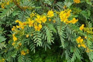 Sacred Valley Private Tour Full Day - Pisac + Ollantaytambo