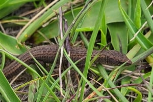 Sacred Valley Private Tour Full Day - Pisac + Ollantaytambo