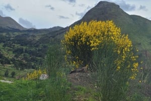 Sacred Valley Private Tour Full Day - Pisac + Ollantaytambo