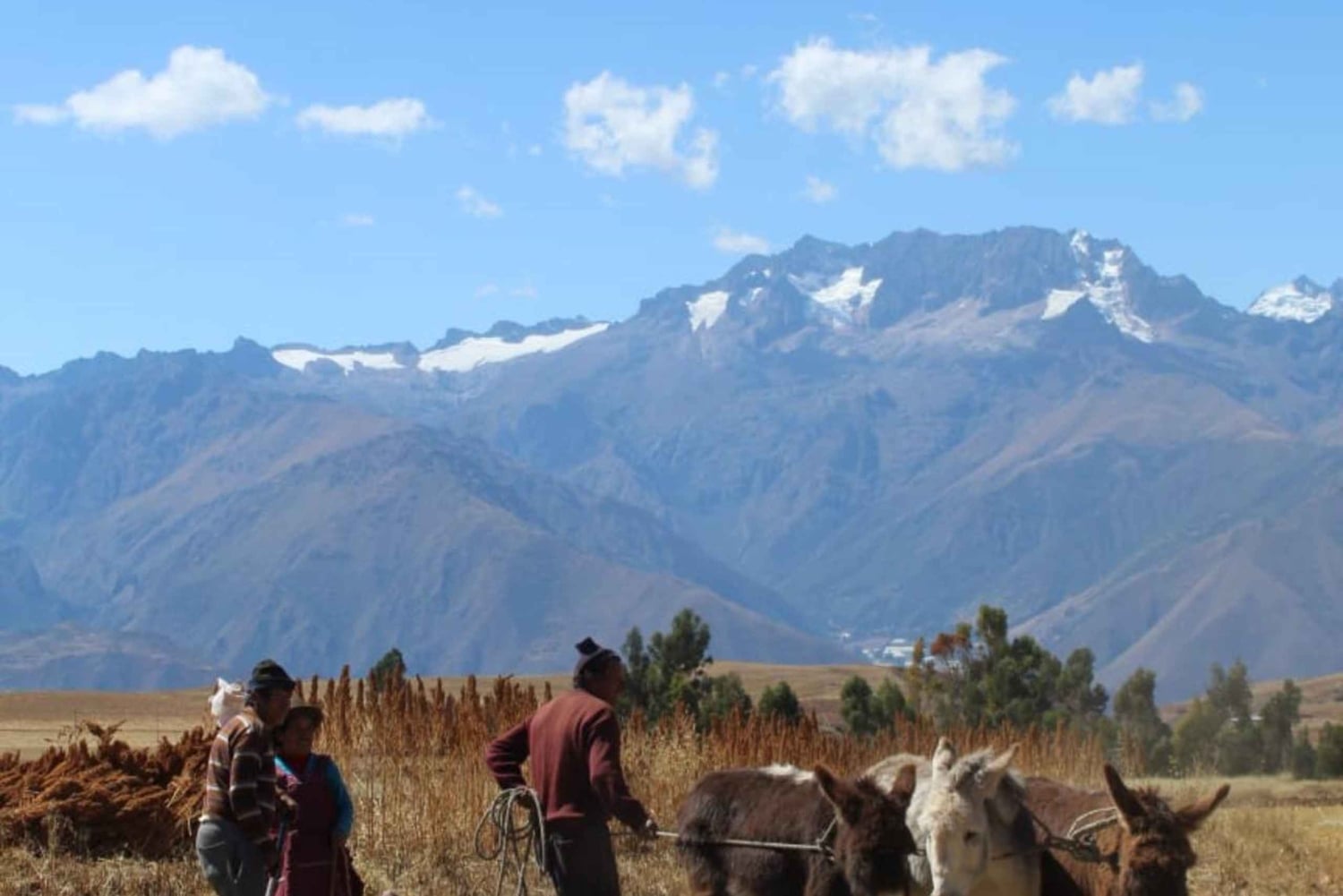 Sacred Valley Tour from Ollantaytambo (Mountain View Lunch)