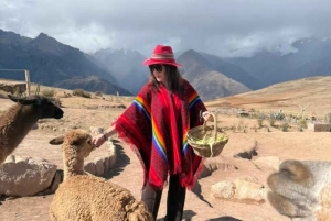 Sacred Valley Tour from Ollantaytambo (Mountain View Lunch)