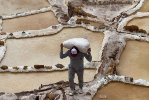 Sacred Valley Tour from Ollantaytambo (Mountain View Lunch)