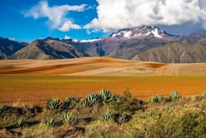 Vallée Sacrée : Chinchero, Moray, Ollantaytambo & Pisac+Déjeuner